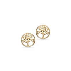 SCROUPLES 8 KARAT GULD ØRERINGE LIVETS TRÆ 6 MM - 120183