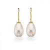 SCROUPLES ØRERINGE FERSKVANDSPERLE FORGYLDT -141602