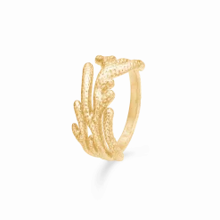 STUDIO Z REEF ECCENSE SØLV FORGYLDT RING - 7240921